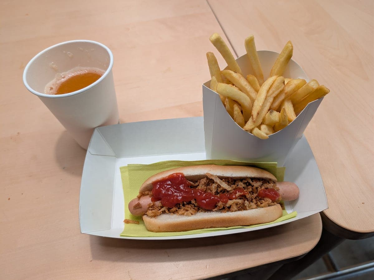 Before: Hot dog & fries, original phone photo